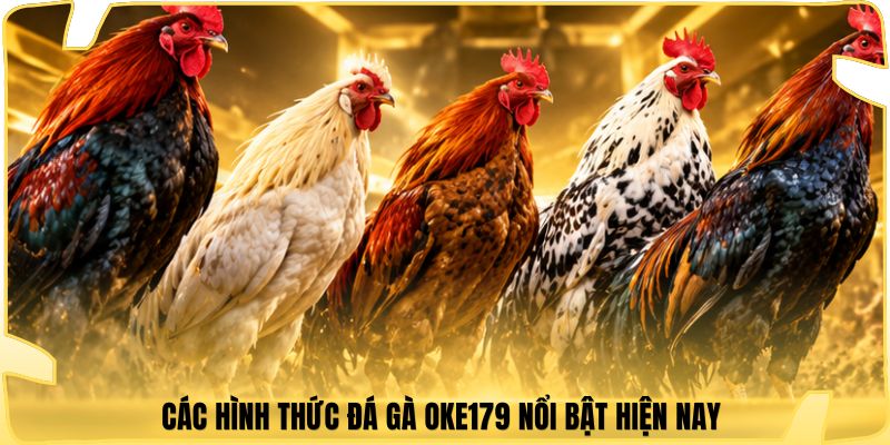 Các hình thức đá gà Oke179 nổi bật hiện nay 