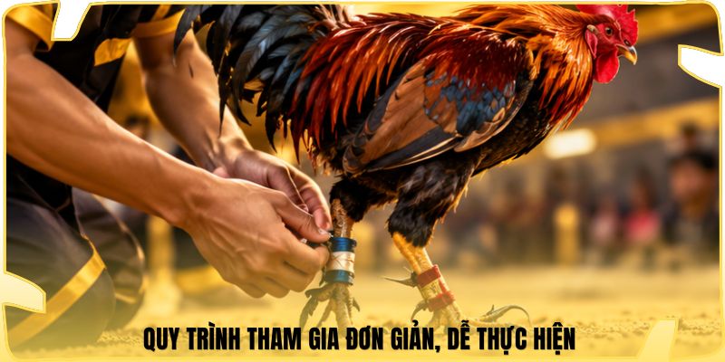 Quy trình tham gia đơn giản, dễ thực hiện 